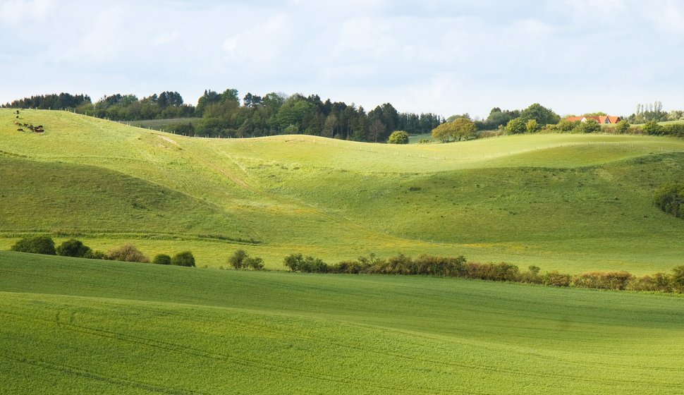 Landskab ved Brorfelde på Sjælland i maj.